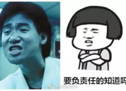 表情包 葛优