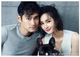 吃瓜娱乐圈有新瓜吃了