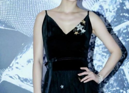 黄圣依图片,光影交织下的美丽瞬间