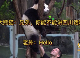 搞笑四川话视频,四川方言搞笑视频大盘点