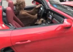 豪车美女网红,网红们的奢华生活揭秘