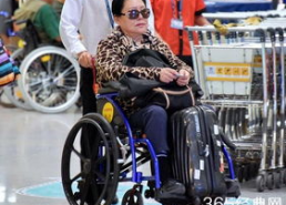 娱乐吃瓜君轮椅,轮椅上的娱乐达人，带你领略不一样的娱乐圈风采