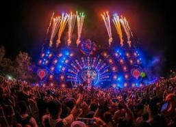 迈阿密 娱乐,繁华都市的狂欢之夜