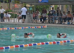 游泳比赛搞笑视频,一场游泳比赛的欢乐瞬间