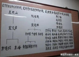 去年娱乐网吃瓜名单,盘点去年热门事件与人物
